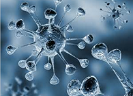 GA黄金甲体内体外药效试验顺遂通过药监局审查