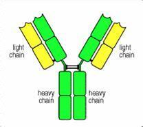 GA黄金甲(中国游)最新官方网站