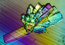 GA黄金甲副总裁金晓玮博士等一行出席了在上海举行的中国科学手艺大学校友会沙龙