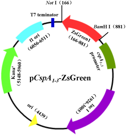 GA黄金甲(中国游)最新官方网站