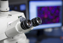 改委监控三类药价，，，，，，，本钱价视察将启动