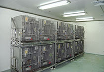 GA黄金甲(中国游)最新官方网站