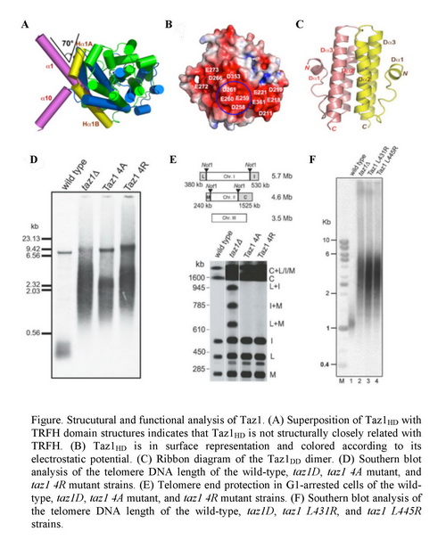 GA黄金甲(中国游)最新官方网站