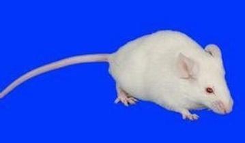 GA黄金甲(中国游)最新官方网站