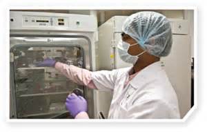 10月17日，，，陈春麟博士将加入2012岛津全球制药峰会