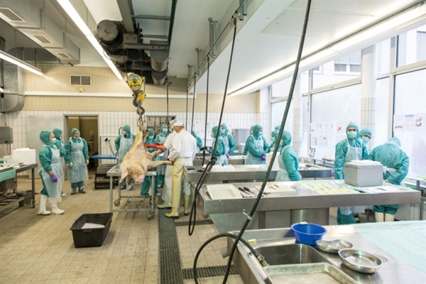 6月21号GA黄金甲主理2012年生物手艺药物（卵白质/抗体）立异生长论坛