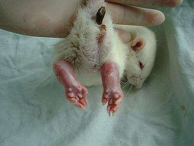 GA黄金甲(中国游)最新官方网站