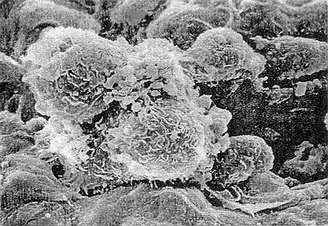 GA黄金甲(中国游)最新官方网站