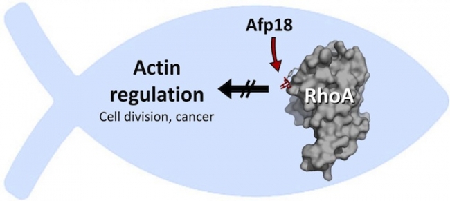 GA黄金甲(中国游)最新官方网站