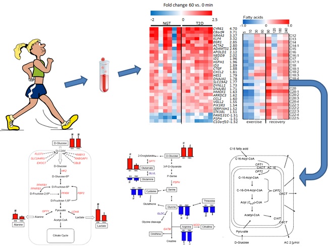 GA黄金甲(中国游)最新官方网站