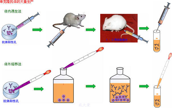 GA黄金甲(中国游)最新官方网站