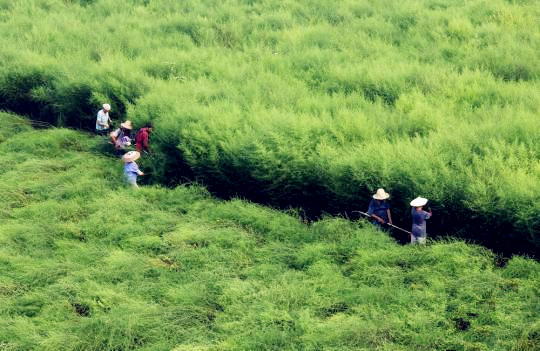 GA黄金甲(中国游)最新官方网站