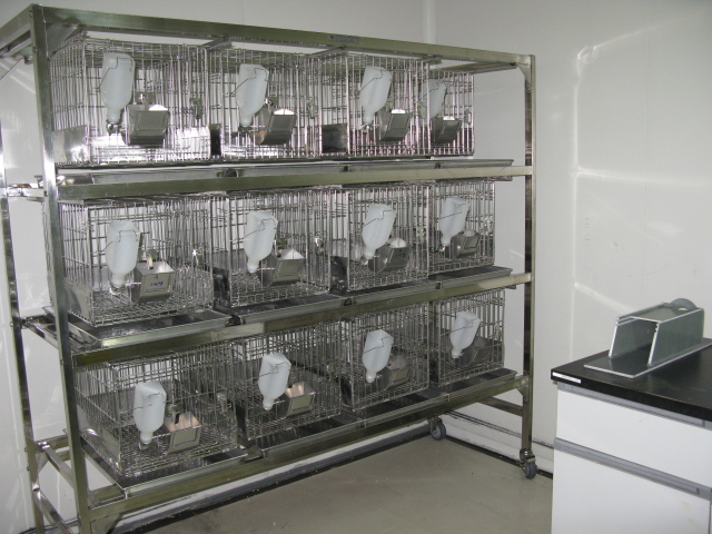 GA黄金甲普亚新动物房通过上海动管会验收