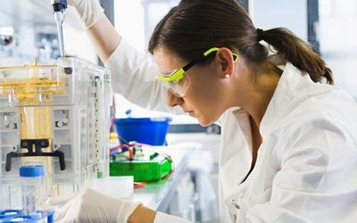 GA黄金甲人类疾病动物模子