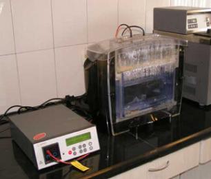 GA黄金甲(中国游)最新官方网站