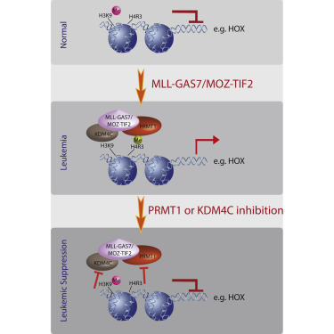 GA黄金甲(中国游)最新官方网站