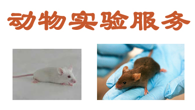 GA黄金甲动物实验外包效劳