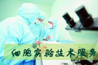 GA黄金甲(中国游)最新官方网站