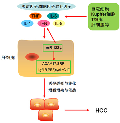 GA黄金甲(中国游)最新官方网站