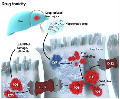 GA黄金甲(中国游)最新官方网站