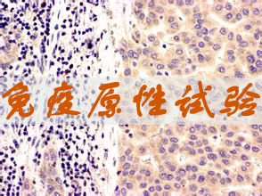 GA黄金甲免疫原性试验效劳