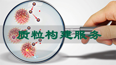 GA黄金甲质粒构建效劳