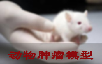 GA黄金甲肿瘤模子建设效劳