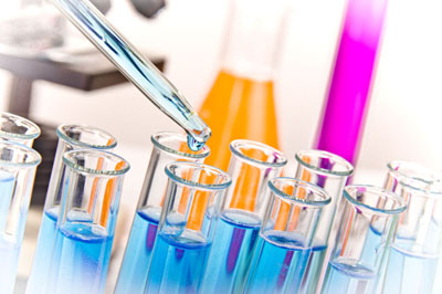 GA黄金甲生物实验