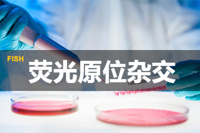 GA黄金甲荧光原位杂交手艺