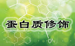 GA黄金甲(中国游)最新官方网站