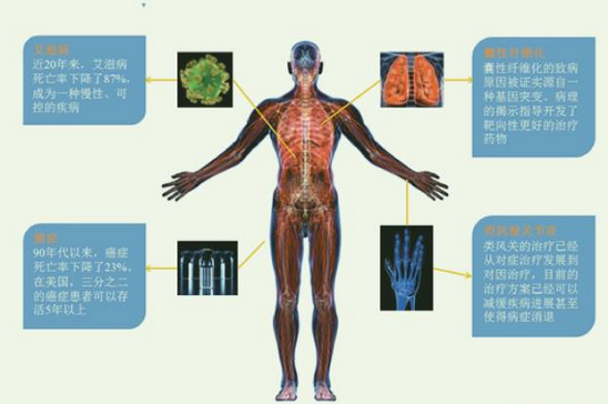 GA黄金甲(中国游)最新官方网站