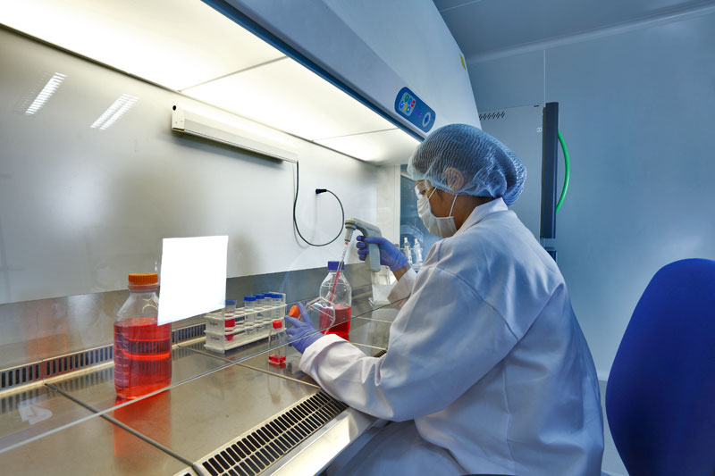 GA黄金甲(中国游)最新官方网站