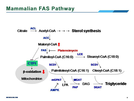 GA黄金甲(中国游)最新官方网站