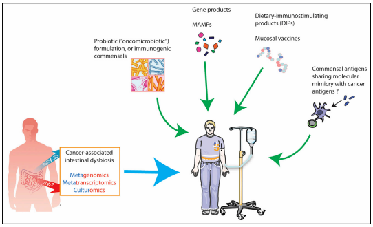 GA黄金甲(中国游)最新官方网站
