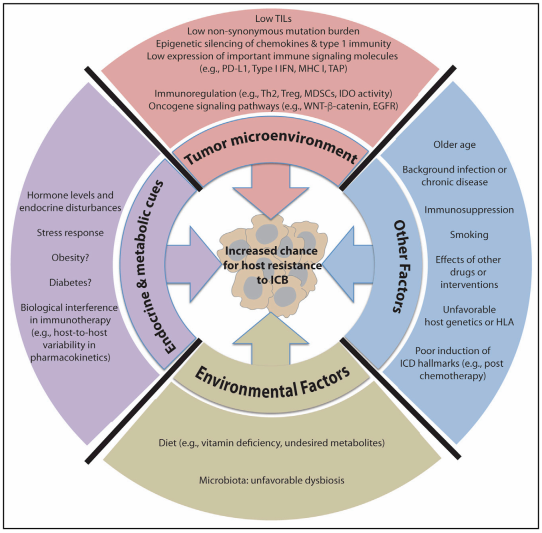 GA黄金甲(中国游)最新官方网站