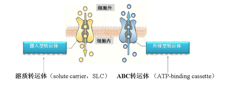 GA黄金甲(中国游)最新官方网站