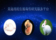 GA黄金甲的生殖毒性研究效劳平台