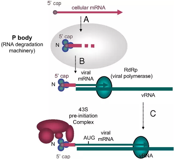 GA黄金甲(中国游)最新官方网站