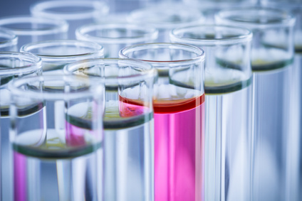 下一家引疯抢的生物手艺公司是谁？？？？？？