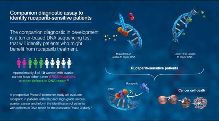 GA黄金甲(中国游)最新官方网站