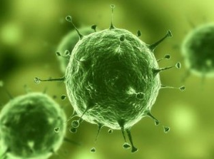 Nature：治疗实体瘤有了明确靶标，，，，肿瘤干细胞确实保存