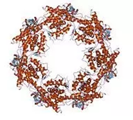 GA黄金甲(中国游)最新官方网站