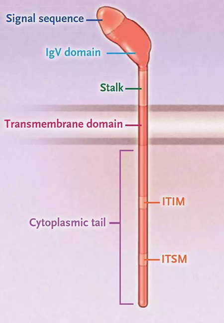 GA黄金甲(中国游)最新官方网站