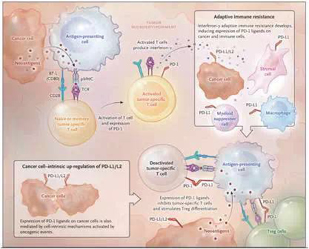 GA黄金甲(中国游)最新官方网站