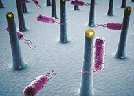 未来的药丸里，，，，，，，可能有一万亿小我私家工刷新的细菌？？？