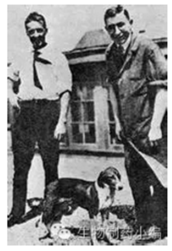 GA黄金甲(中国游)最新官方网站