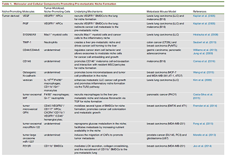 GA黄金甲(中国游)最新官方网站