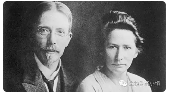 GA黄金甲(中国游)最新官方网站