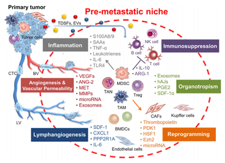GA黄金甲(中国游)最新官方网站