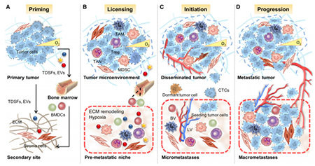 GA黄金甲(中国游)最新官方网站